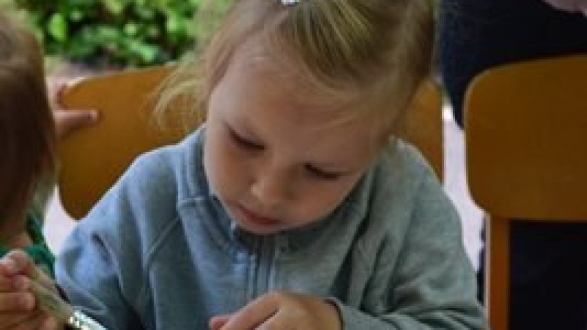 Strazdumuižas ciemata svētki 2016