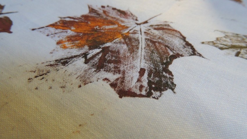 Strazdumuižas ciemata svētki 2015