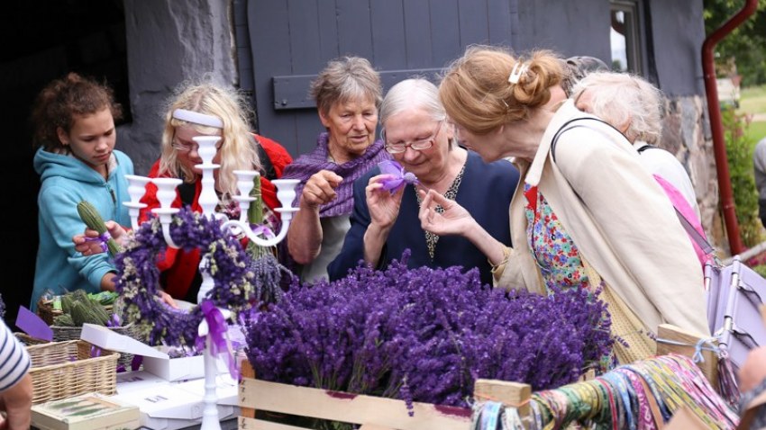 LNB Strazdumuižas organizācija devās ekskursijā uz Limbažu pusi