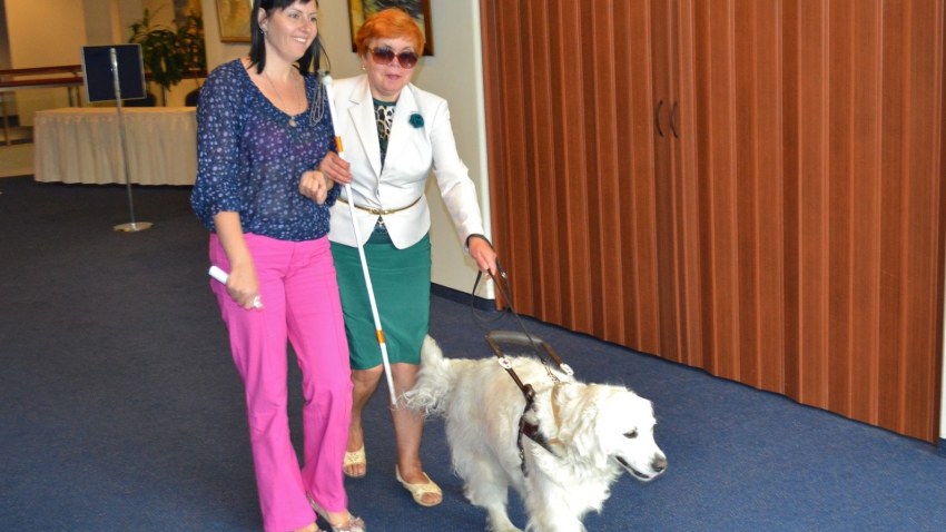 ESF projekta IEGULDĪJUMS TAVĀ NĀKOTNĒ noslēguma konference 21.08.2013