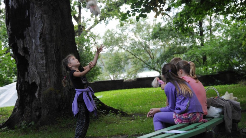 Strazdumuižas ciemata svētki 2013