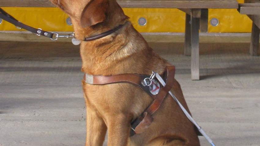 Nometne "Tilts uz veiksmi"2013