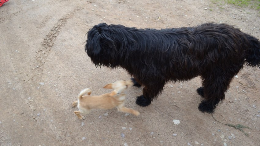 Nometne "Tilts uz veiksmi"2013