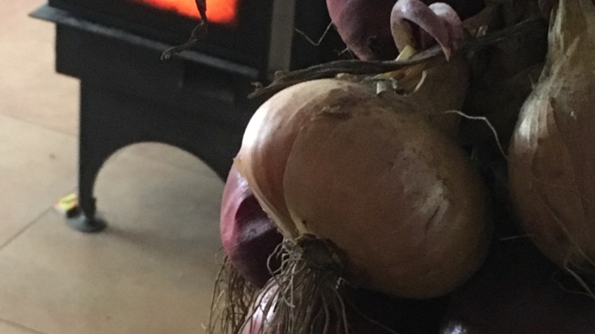 Tikšanās ar Zigmundu Lauriņu projekta Proti un Dari ietvaros