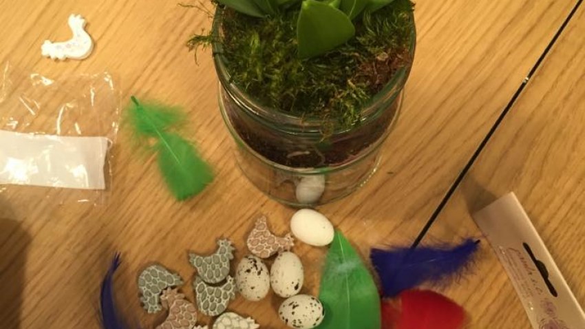 Projekta Zaļākai Rīgai floristikas nodarbība