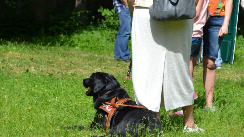 Ekskursija uz Skrīveriem projekta Zaļākai Rīgai ietvaros